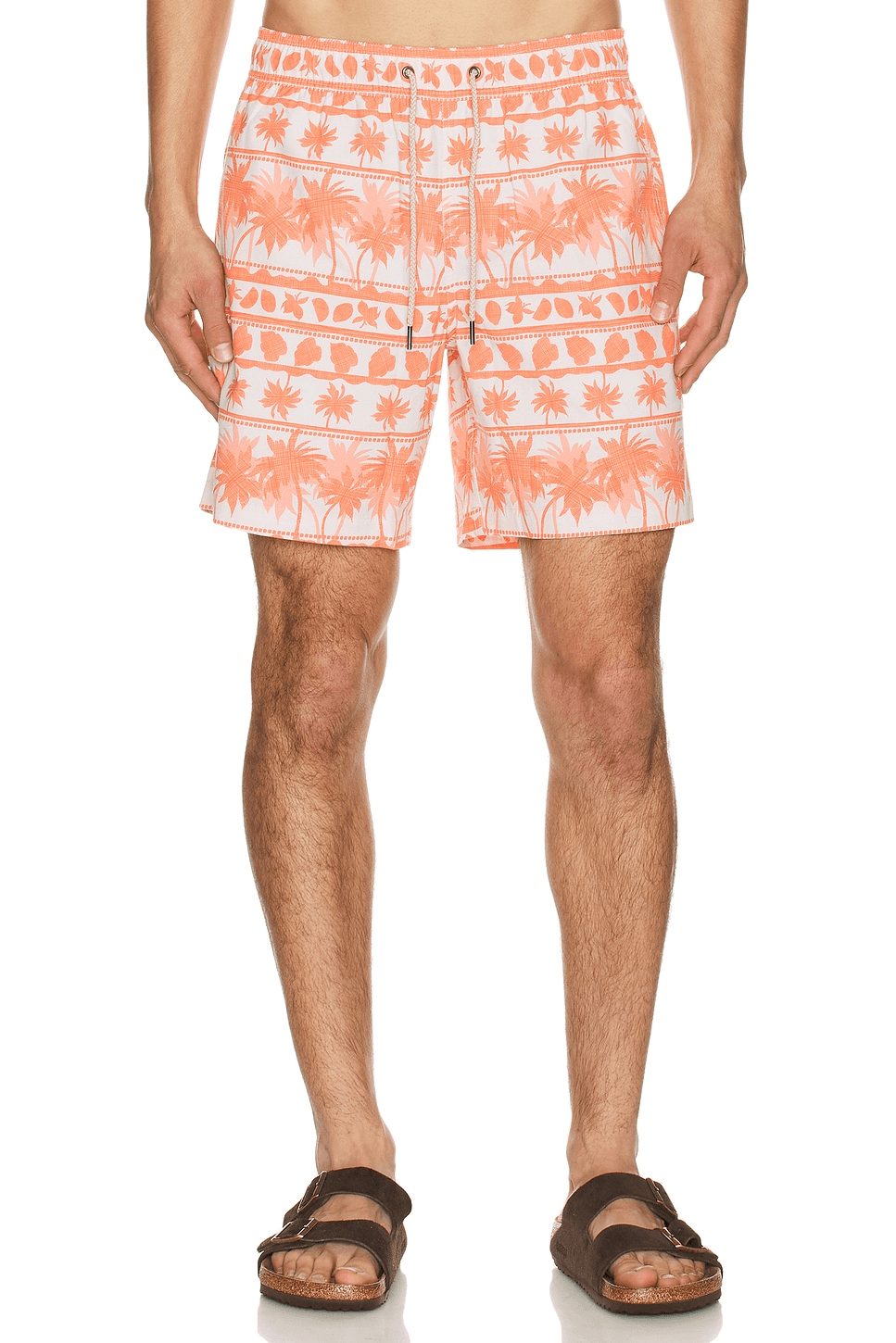 Bayberryswim Trunk - Image 1