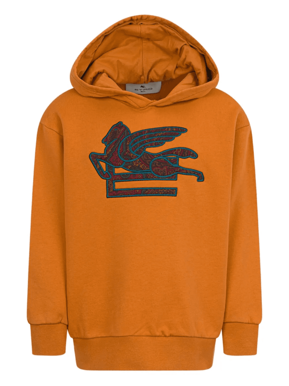 pegasus paisley motif sweatshirt - Image 1