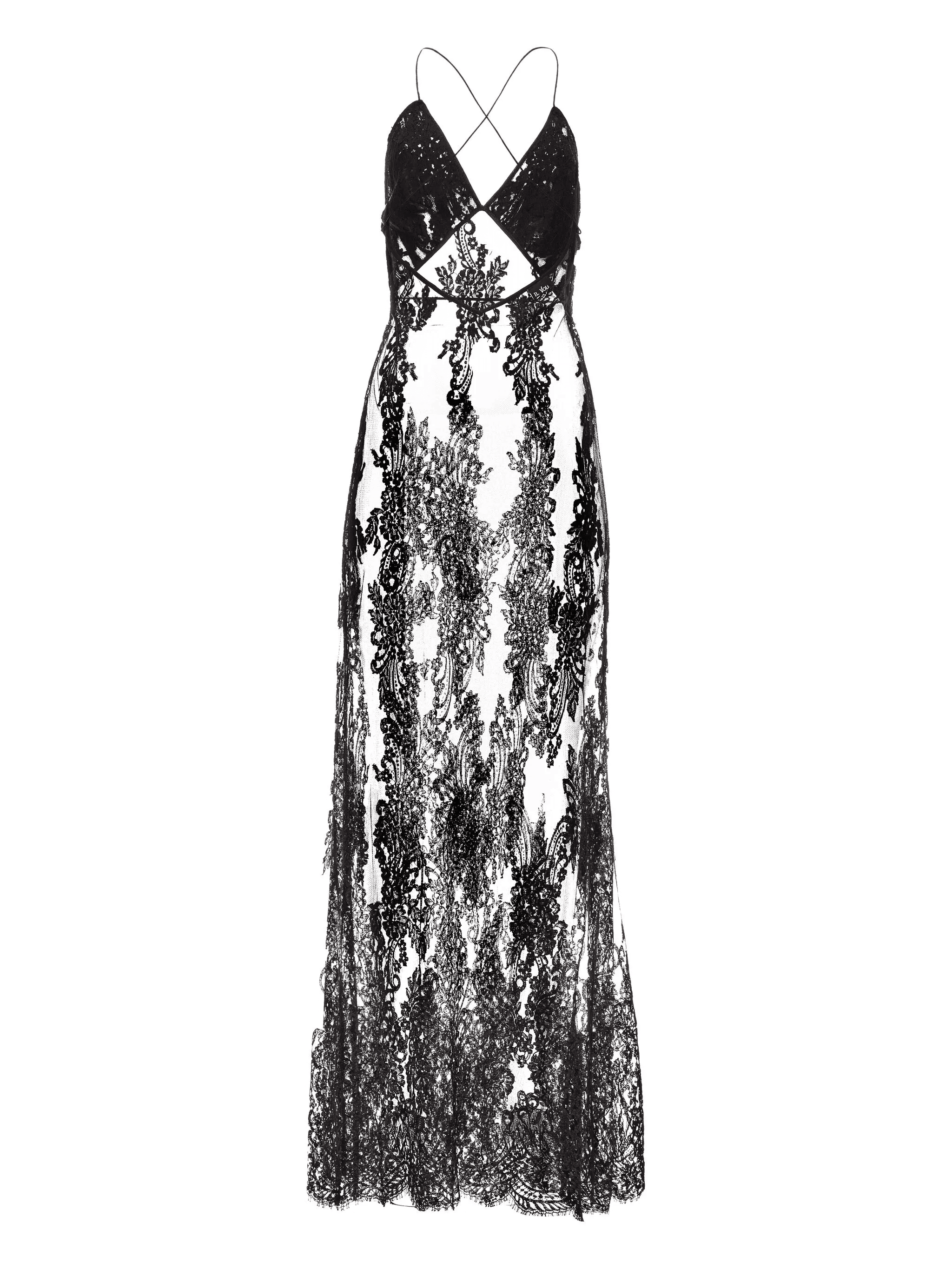 Naya sheer-lace maxi dress - Image 1