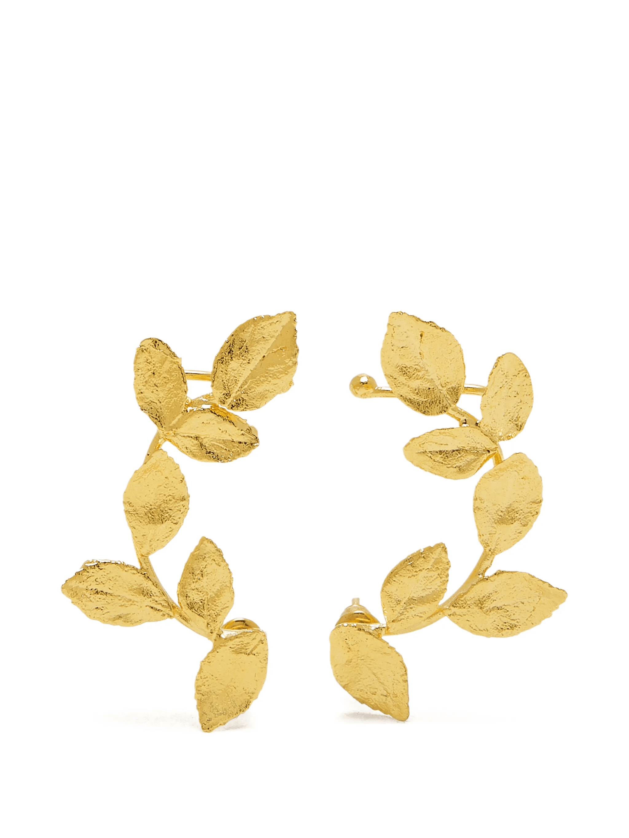 Climbing Leaf earrings - Image 1