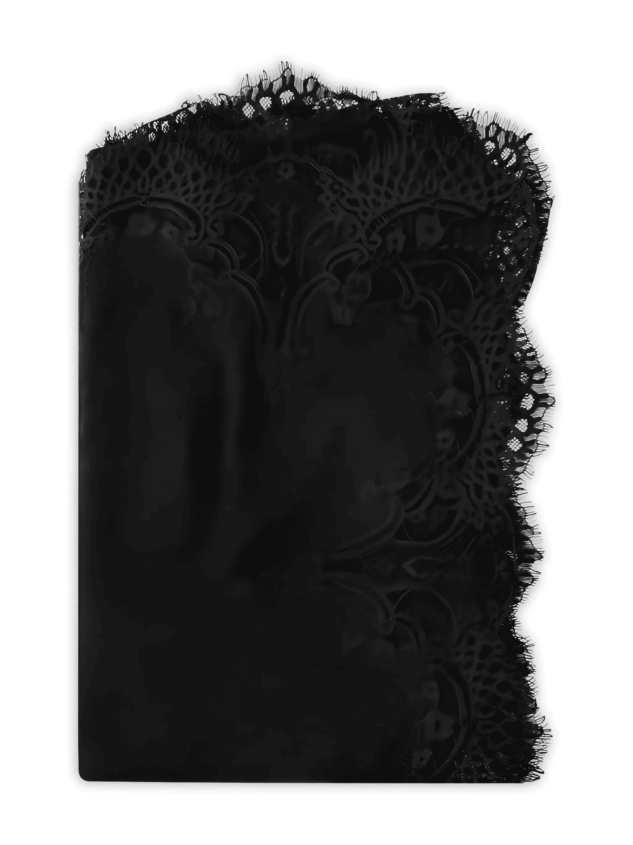 lace-trimmed scarf - Image 1