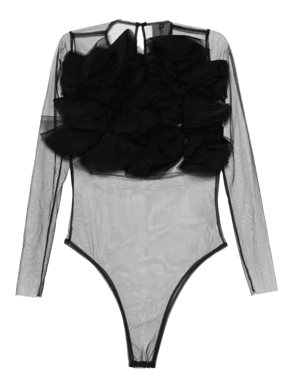 Antonia body - Image 1